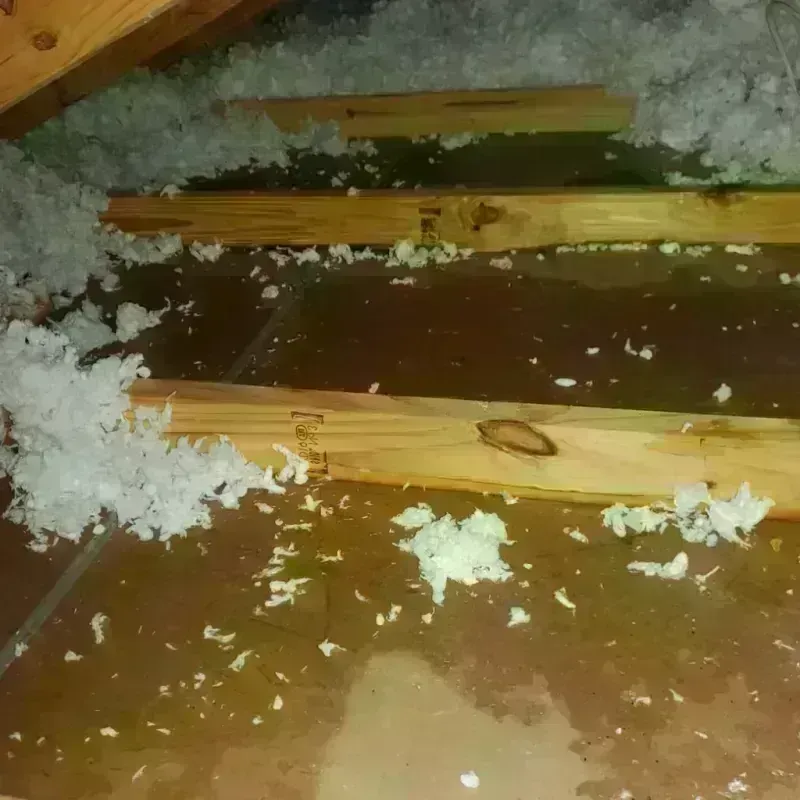 Attic Water Damage in Humboldt, TN